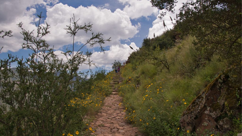 Inca Trail- Camino Inca to Machu Picchu