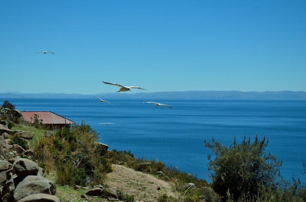Como llegar al lago titicaca