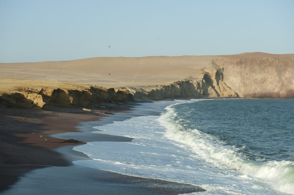 Reserva Nacional de Paracas