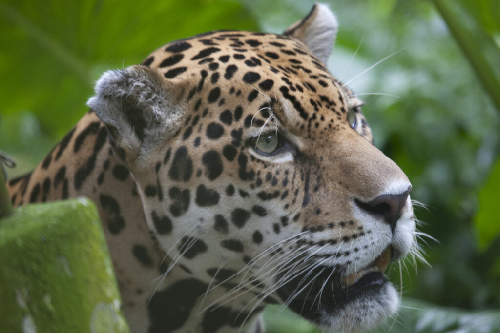 Photo: Alex Bryce / PROMPERÚ