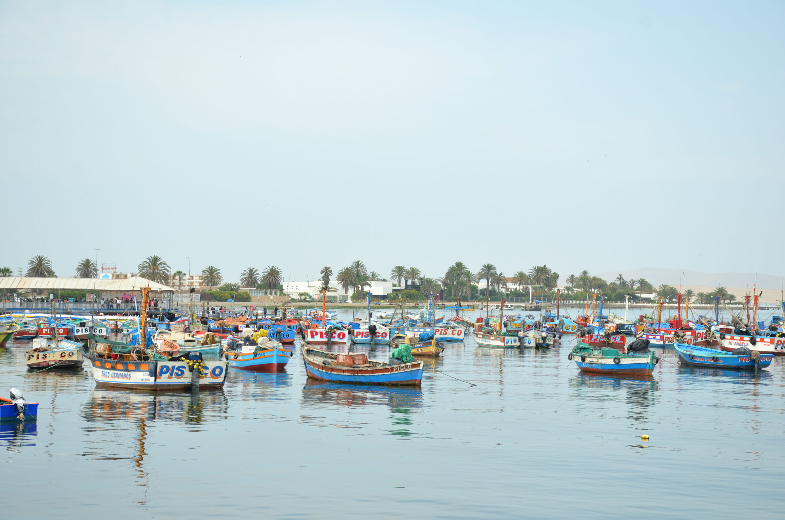 Paracas - top attractions in Peru