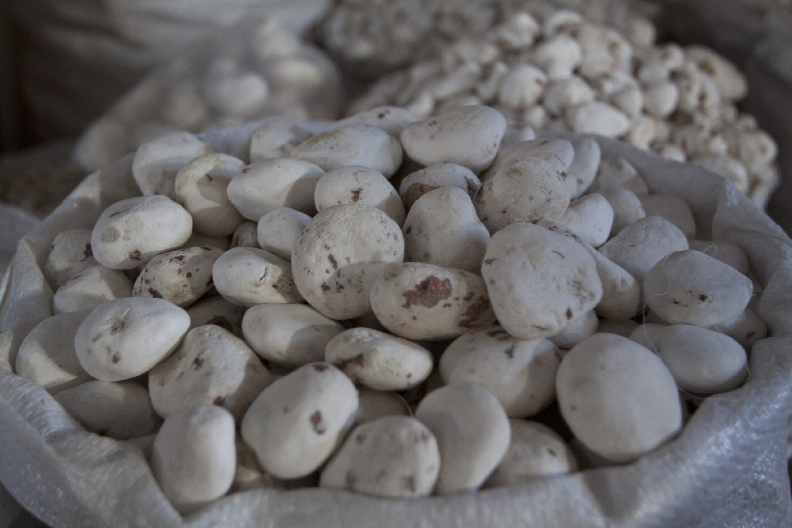 Detalle de costales de moraya en el Mercado San Pedro